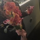 성신여대꽃집 파쳄플라워 촬영부케 주문후기(호접란부케, 붉은카라)