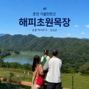 초원 제2주유소 | 춘천 가볼만한곳 해피초원목장 후기ㅣ여기가 한국의 스위스라고요? 동물 먹이주기·포토존
