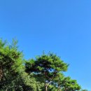 수원-0828 Daum카페