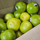 마더맘치킨&amp;피자 | 튼살도 생기고 성격도 나빠진 33주차 임산부 일상