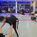 팀몬스터 종합격투기 아이 보내고있는 후기!~