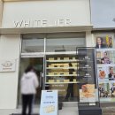 6228 | 식빵계의 에르메스 화이트리식빵 내돈내산후기