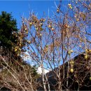 법호촌마을회관 이미지