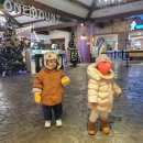 하임태권도장 | [공지] 일산 원마운트 스노우파크 27개월 아기랑 방문 솔직후기