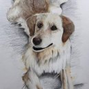 네오프라자(율하동) 이미지