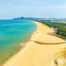 (주)영덕버스 이미지