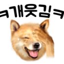 통통손만두 이미지