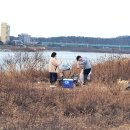경기도 여주보 이포보 노지 캠핑(천남지구공원 여주수상센터)