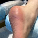 레푸스 성남모란점 이미지