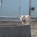 송민호 농장 이미지