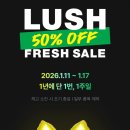 프러쉬 | 러쉬 프레쉬세일 러쉬 헤어,바디,입욕제 추천템