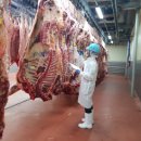 축산물시장(6) 이미지