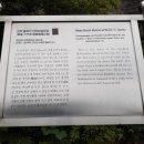 불로리 이미지