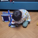 보쉬카센타 티스토리