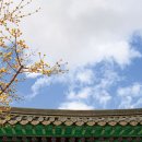 금강교옆 공원 이미지