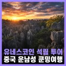 석림3로 | 중국 여행지 추천 운남성 쿤밍 관광지 석림 투어