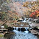 강천산 군립공원 풍경사진들 쬐끔. 이미지