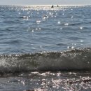 베이브리즈가족호텔 이미지