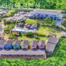 파트라슈 애견 펜션 | 경기도애견동반펜션 파트라슈애견펜션 주말나들이