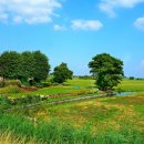 (주)소프트맥스 이미지