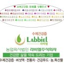 법인라비엘