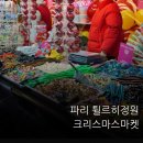 나라꽃 미니정원 | 11월 말 파리 크리스마스마켓 후기｜튈르히정원 크리스마스마켓 놀거리,먹거리,구경거리