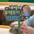24년 4월 / 봄, 화성휴게소 수유실, 군산여행, 돌잔치, 카라반 즐거운녀석들, 유아식, 남대문 유아복 쇼핑
