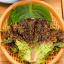 평창야채 이미지