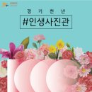 비둘기사진관