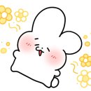 일광스시 이미지