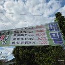 코스모스와 메밀가든 이미지