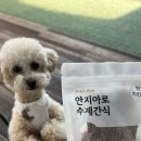 안지아로 수제간식 이미지