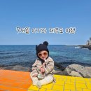 금능124 | 제주 칼치집 탑동본점, 카페 휴즐리, 베이커리 카페 제주당 , 숙소 스테이느긋 추천, 아르떼키즈파크 후기