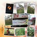 화개농장 이미지