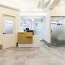 원 종합동물병원 이미지