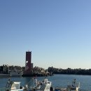 기장월전장어구이 | [부산 기장/월전 장어구이] 뚱아저씨네 장어랑 회 뿌시기