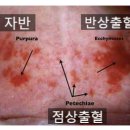 힐리브의원 이미지