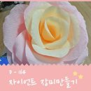 핑크라마 이미지