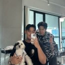 YG프라자(와이지빌딩) | 실패 없는 준오헤어 하남미사강변점 강우 디자이너 후기 | 하남남자머리 | 하남미용실 | 반려동물 동반 🐶