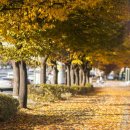 선학근린공원 이미지