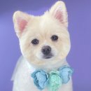 산호동457 이미지