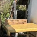 언양국시랑 이미지