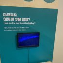점핑파크 계양점 이미지