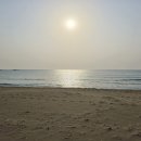 울산광고사