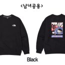 캠프그라운드 이미지