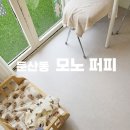 모노퍼피 이미지