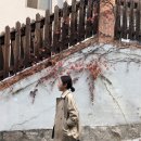 마마도터 이미지
