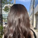 더얼반헤어 이미지