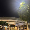 대승체육관 | 강하다! 서울삼성썬더스 VS 울산현대모비스피버스 (서울 잠실실내체육관) (Feat.1층 특석 S6구역 2열)