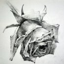 데생 중급 이미지